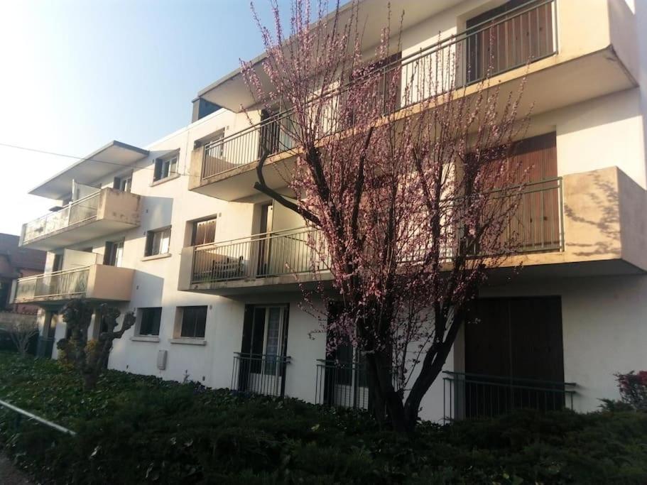 Appartement Avec Balcon Et Parking Prive Roanne Esterno foto