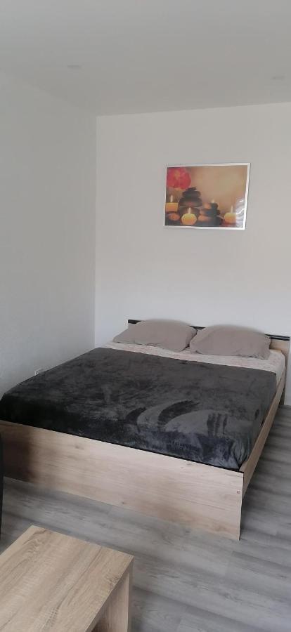 Appartement Avec Balcon Et Parking Prive Roanne Esterno foto