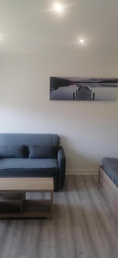 Appartement Avec Balcon Et Parking Prive Roanne Esterno foto